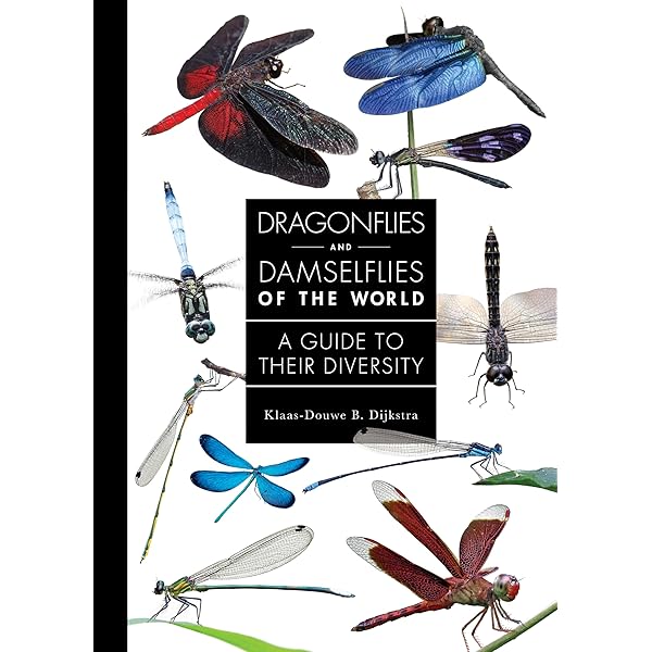 Butterflies From China, Japan, And Corea; Volume 2: Leech, John